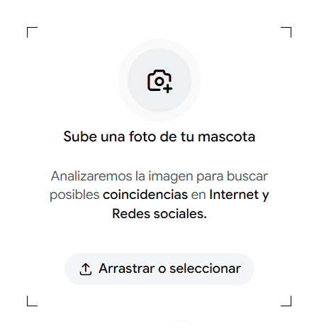 Búsqueda de mascotas perdidas mediante reconocimiento de imágenes con inteligencia artificial