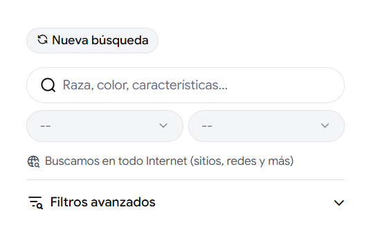 Buscador de mascotas perdidas por datos del anuncio